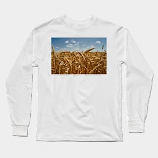 Wheat field ripe in the summer Long Sleeve T-Shirt